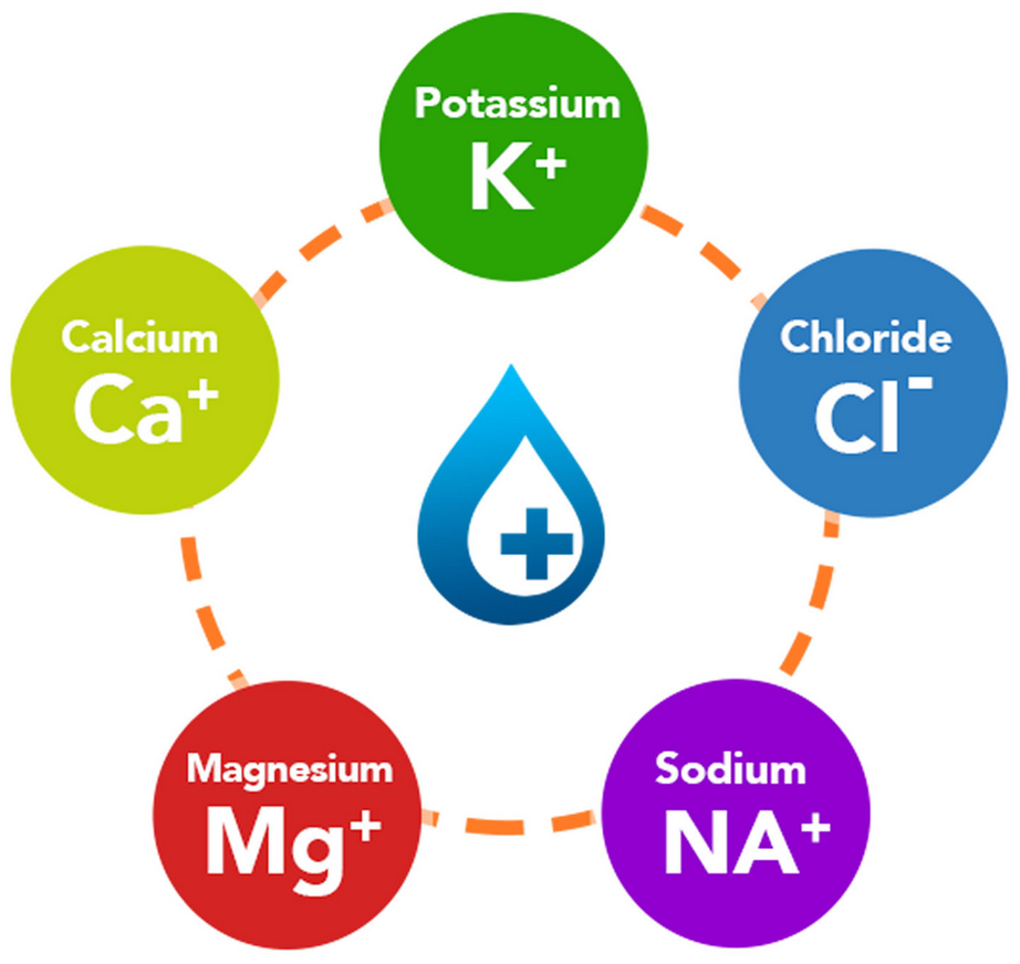Understanding how to hydrate with essential electrolytes Sporting Docs